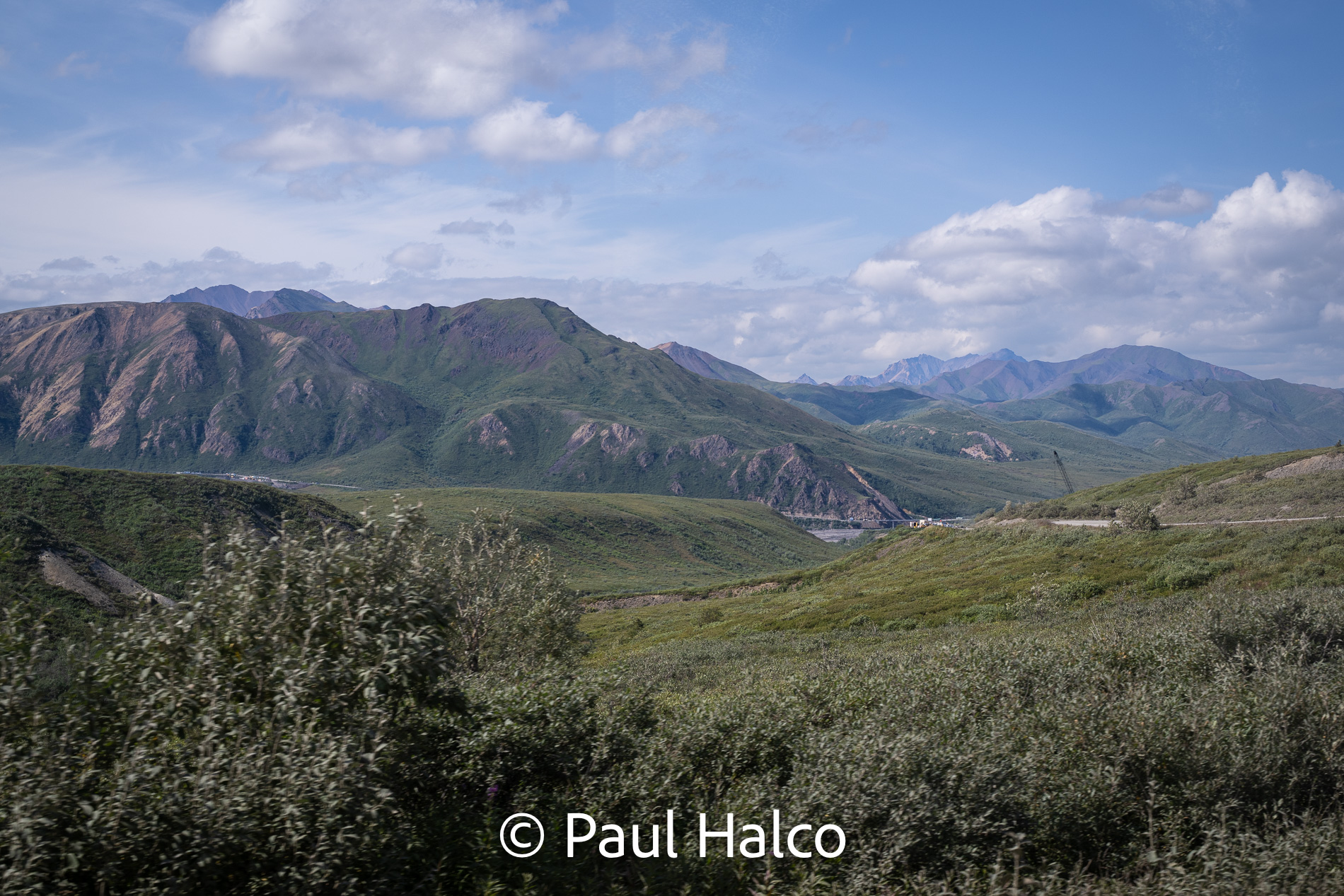 Paul Halco - Denali NP-23